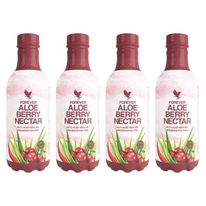 4-Pack Aloe Berry Nectar